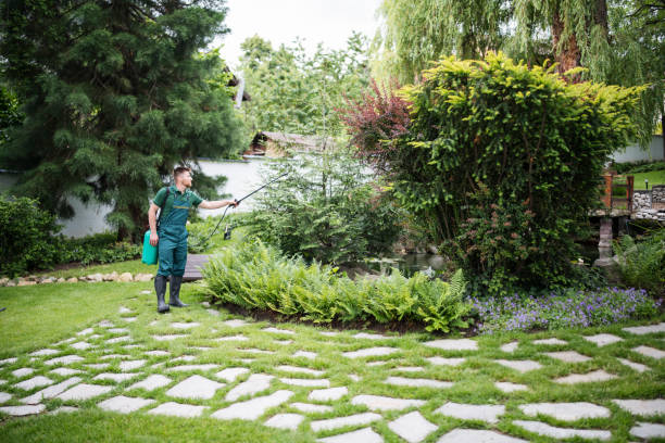 Best Pest Control for Homes  in Watervliet, NY
