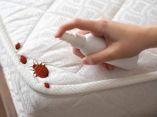 Best Exterminator Services  in Watervliet, NY